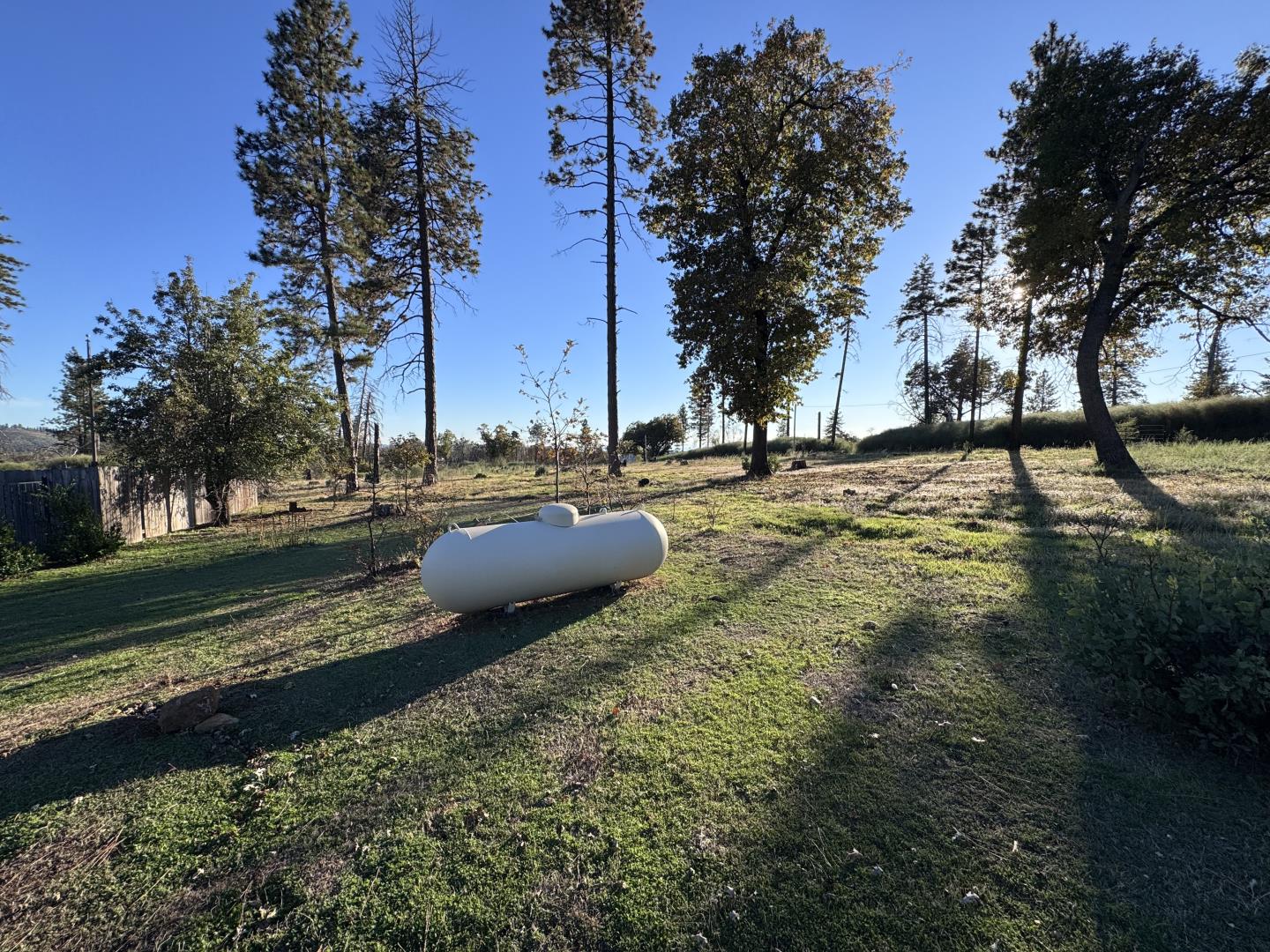 12168 Granite Ridge Road Oroville, CA 95965 - Photo 21 of 34 a view of a yard with plants and trees