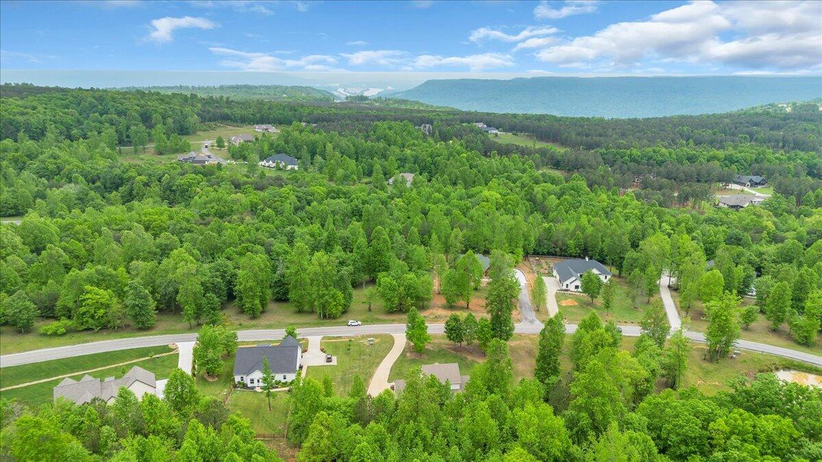 2564 Raulston Falls Drive Jasper, TN 37347 - Photo 32 of 48 72-DJI_0509