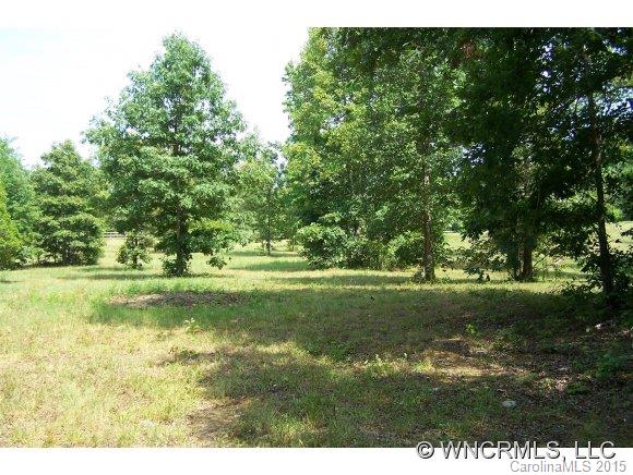 Lot 15 Pardo Road Landrum, SC 29356 - Photo 5 of 24