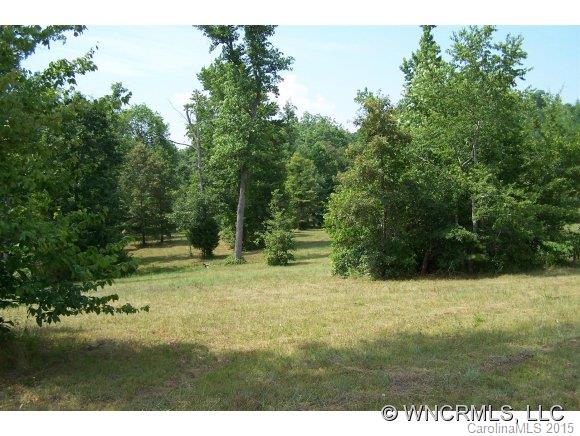 Lot 15 Pardo Road Landrum, SC 29356 - Photo 7 of 24