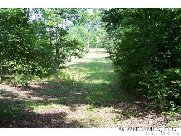 Lot 15 Pardo Road Landrum, SC 29356 - Photo 8 of 24