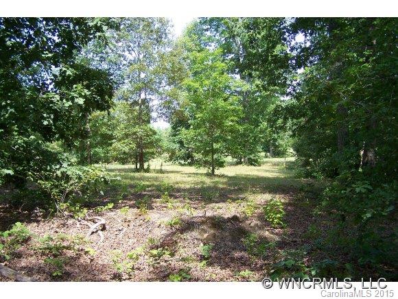 Lot 15 Pardo Road Landrum, SC 29356 - Photo 9 of 24