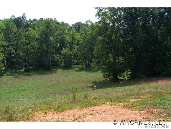 Lot 15 Pardo Road Landrum, SC 29356 - Photo 10 of 24