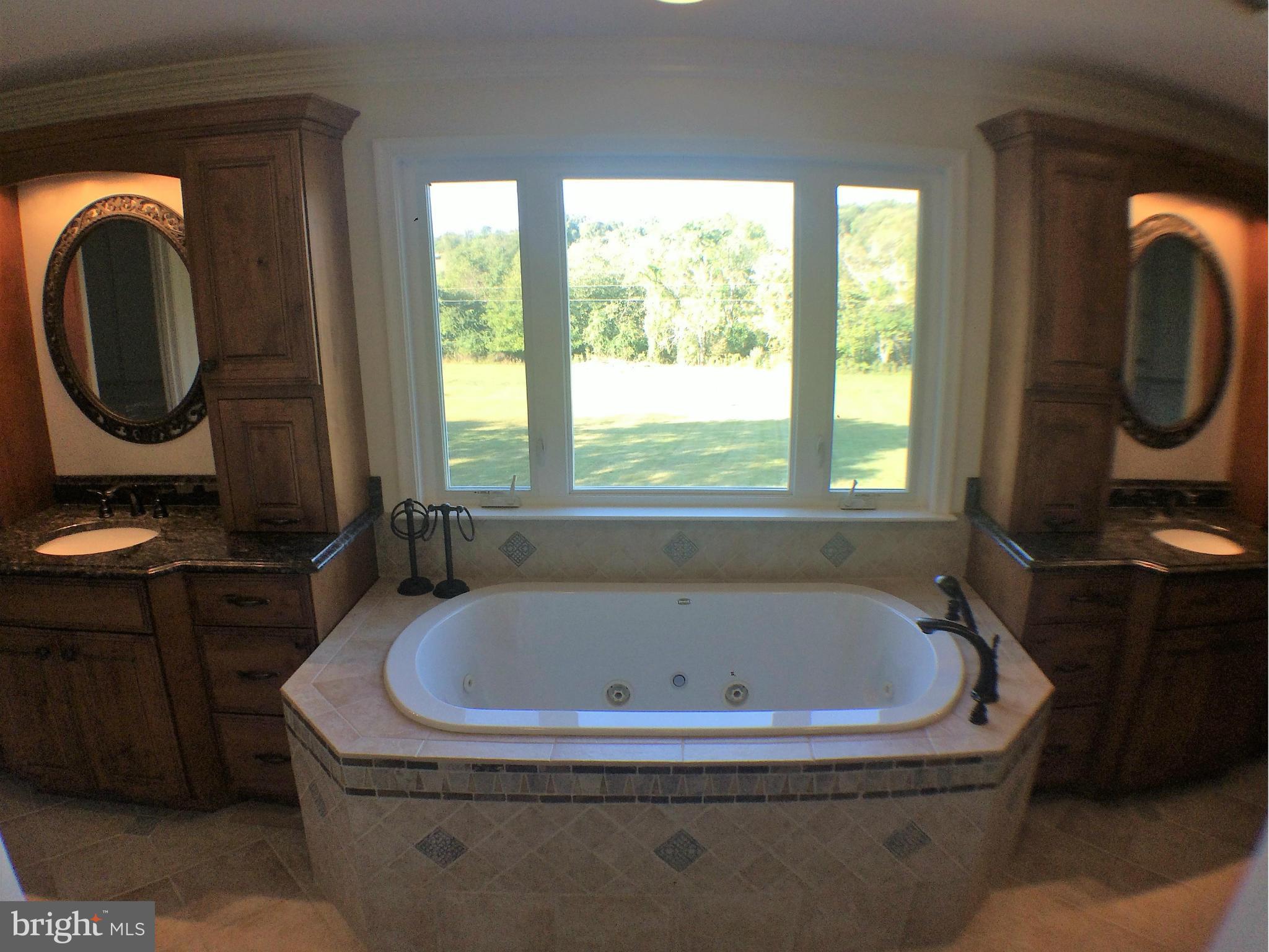 39597 Rodeffer Road Lovettsville, VA 20180 - Photo 14 of 30 Bath (Master)
