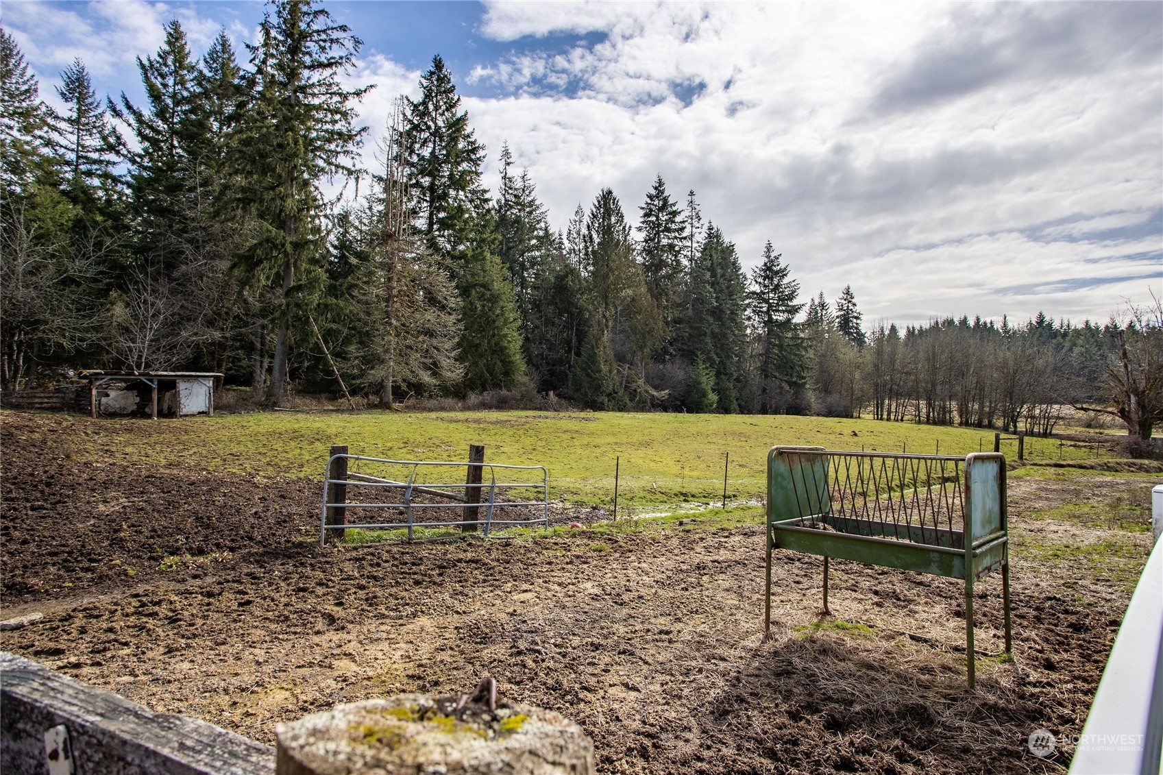 219 Lindbeck Road Winlock, WA 98596 - Photo 25 of 35 a view of a yard with a bench