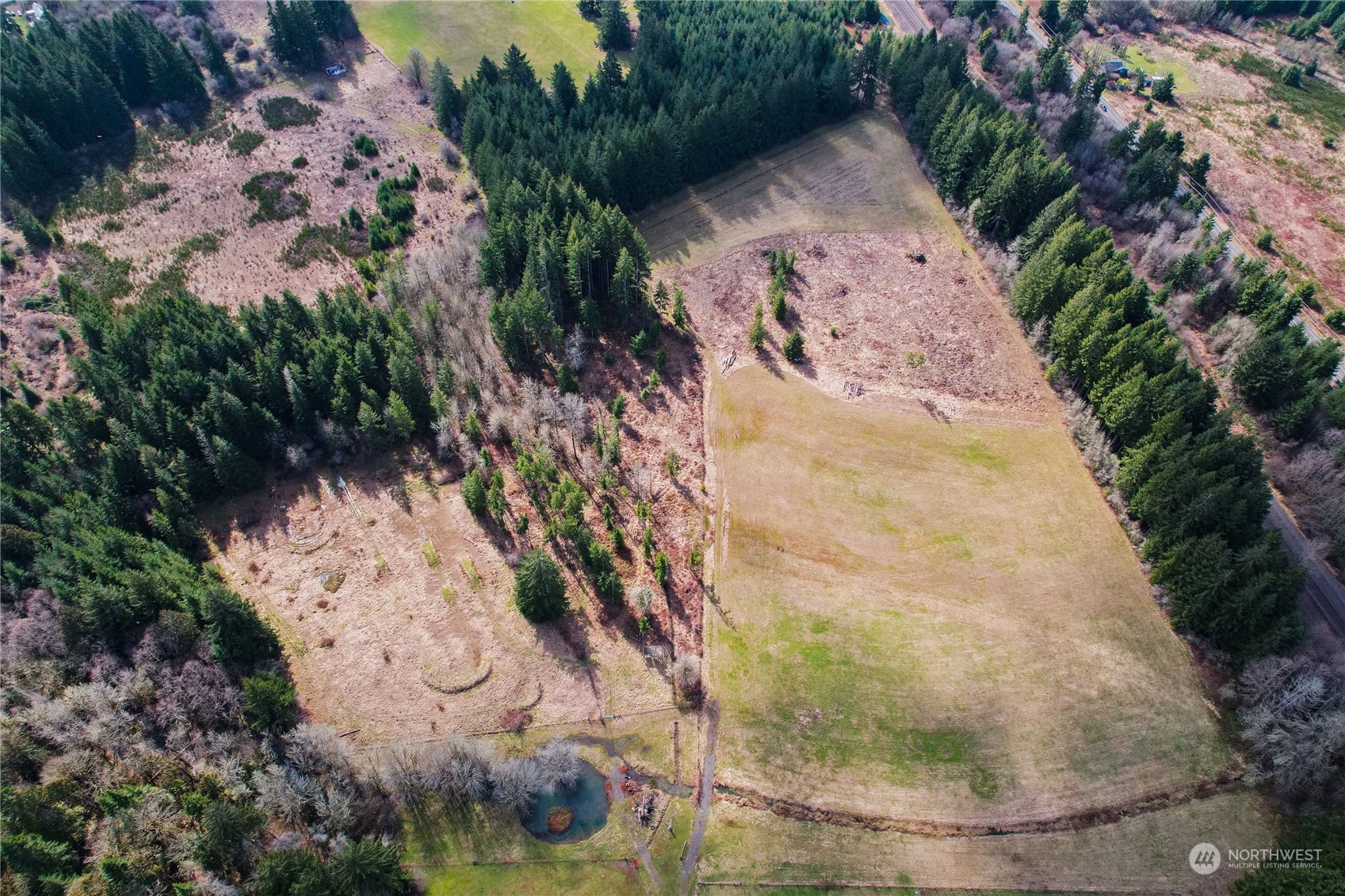 219 Lindbeck Road Winlock, WA 98596 - Photo 29 of 35 a view of plant in a yard