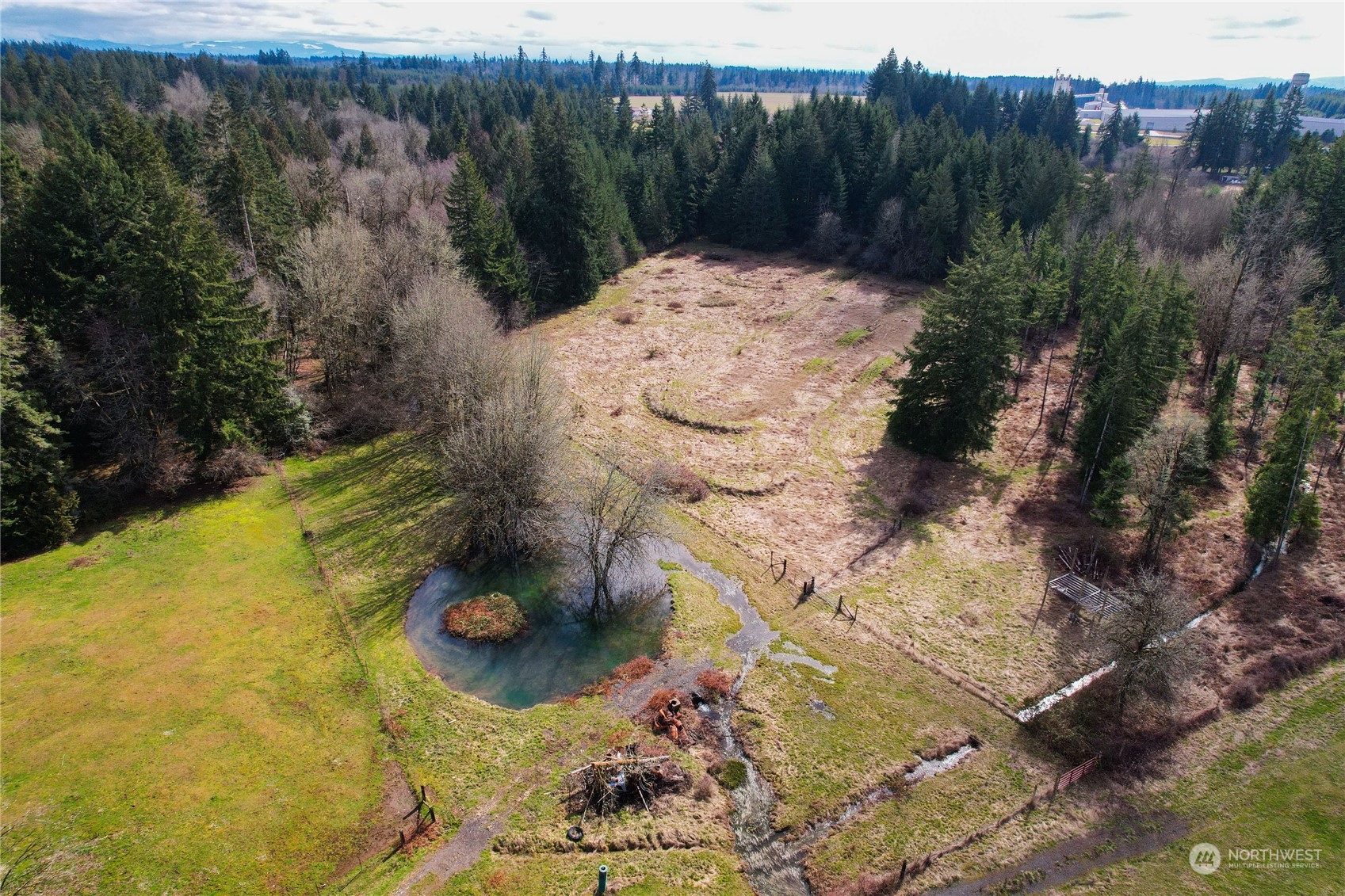 219 Lindbeck Road Winlock, WA 98596 - Photo 30 of 35 a view of a small yard with large trees