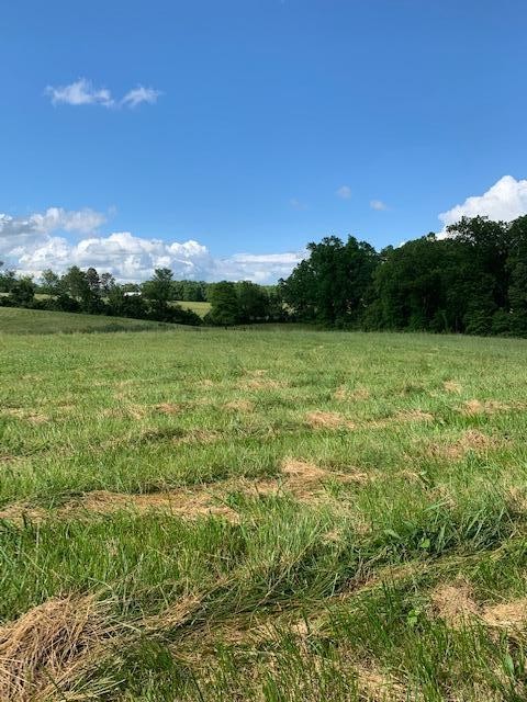 0 Frost Road Crossville, TN 38571 - Photo 19 of 23 Gallery Image 19