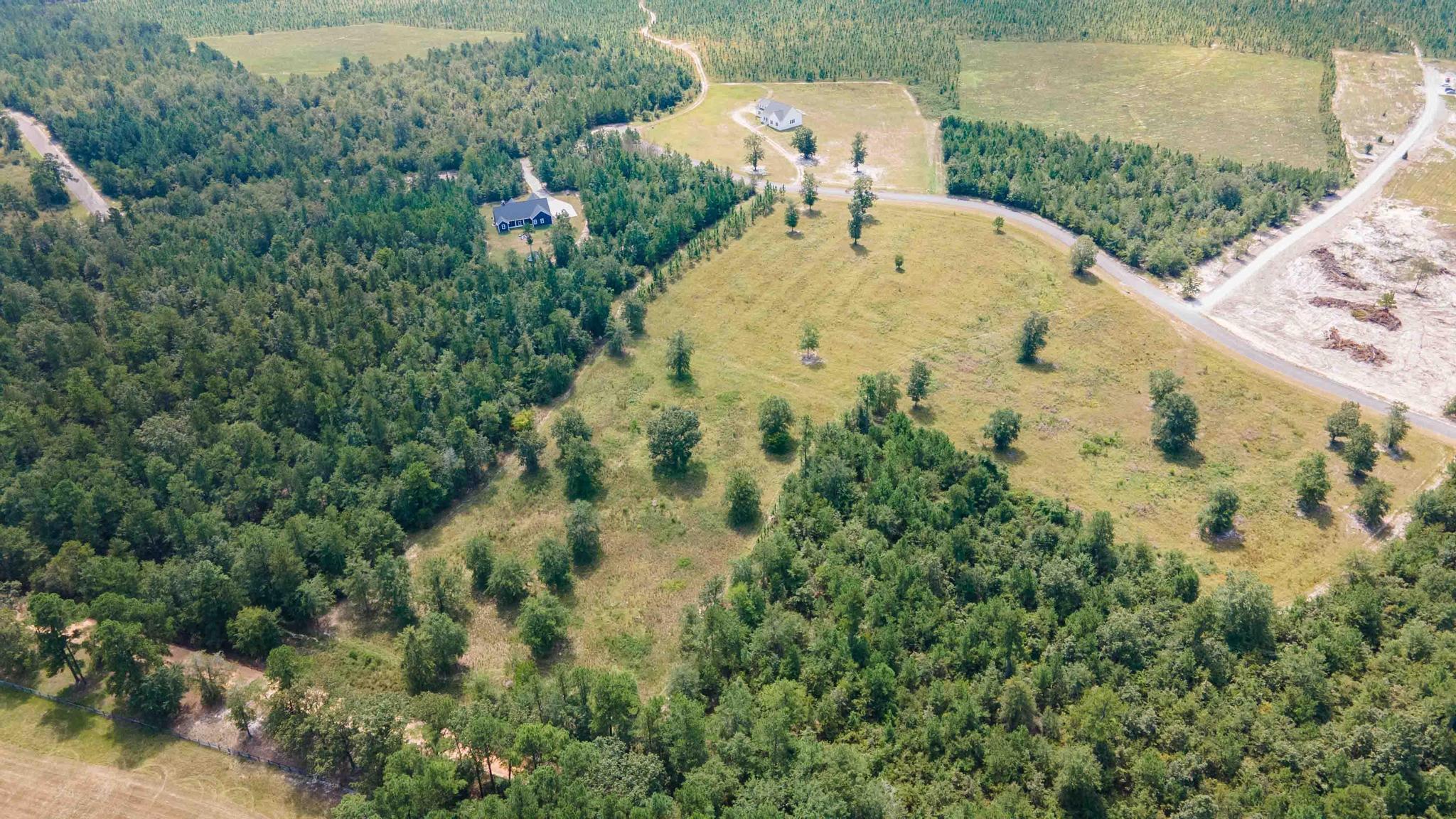 0 Cooks Pond Road Windsor, SC 29856 - Photo 9 of 15 DJI_0418