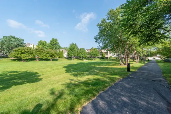 a view of a park with trees