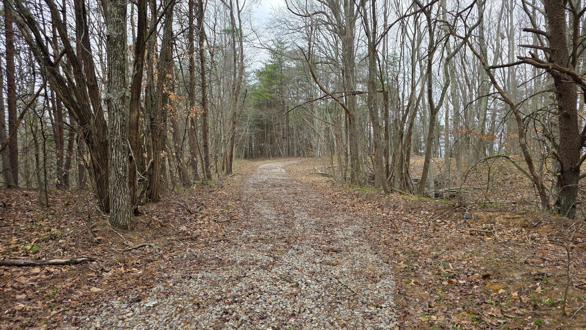 818 Campaign Poplar Road, Unit PONDS POPLAR RIDGE TRACT 4) Gallipolis, OH 45631 - Photo 10 of 24 CT-10