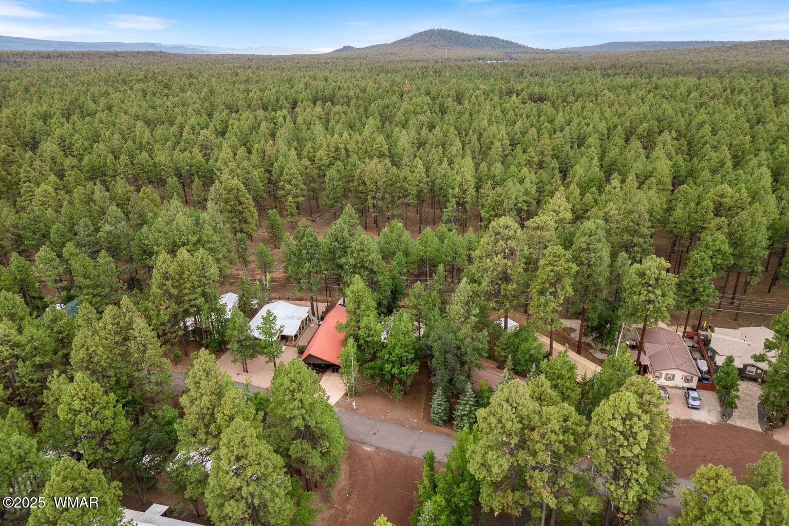 5369 North Blue Ridge Loop Pinetop, AZ 85935 - Photo 28 of 33 Dimov.28