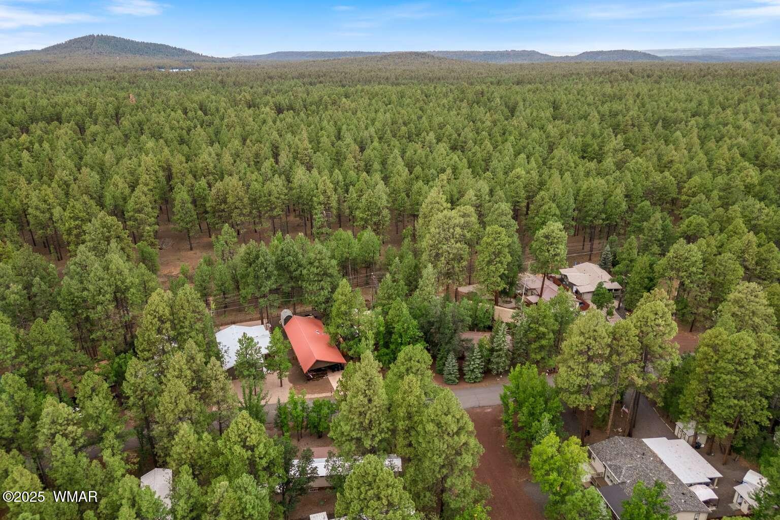 5369 North Blue Ridge Loop Pinetop, AZ 85935 - Photo 29 of 33 Dimov.29