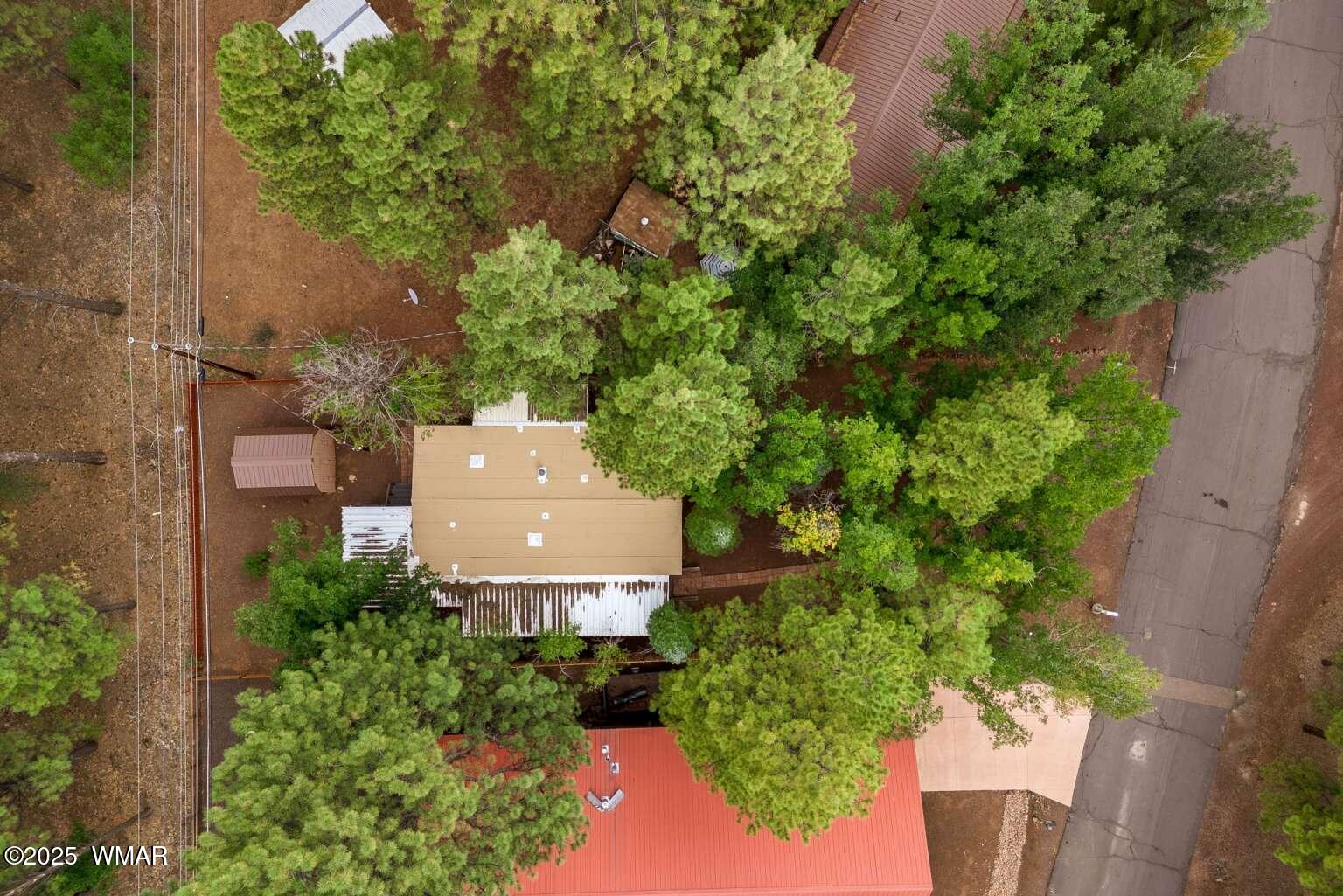 5369 North Blue Ridge Loop Pinetop, AZ 85935 - Photo 30 of 33 Dimov.30