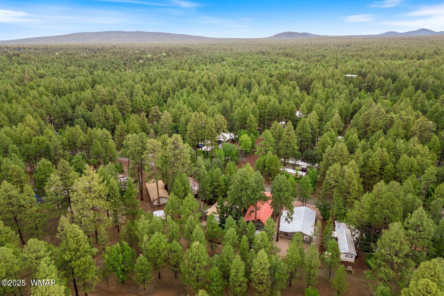 5369 North Blue Ridge Loop Pinetop, AZ 85935 - Photo 31 of 33 Dimov.31