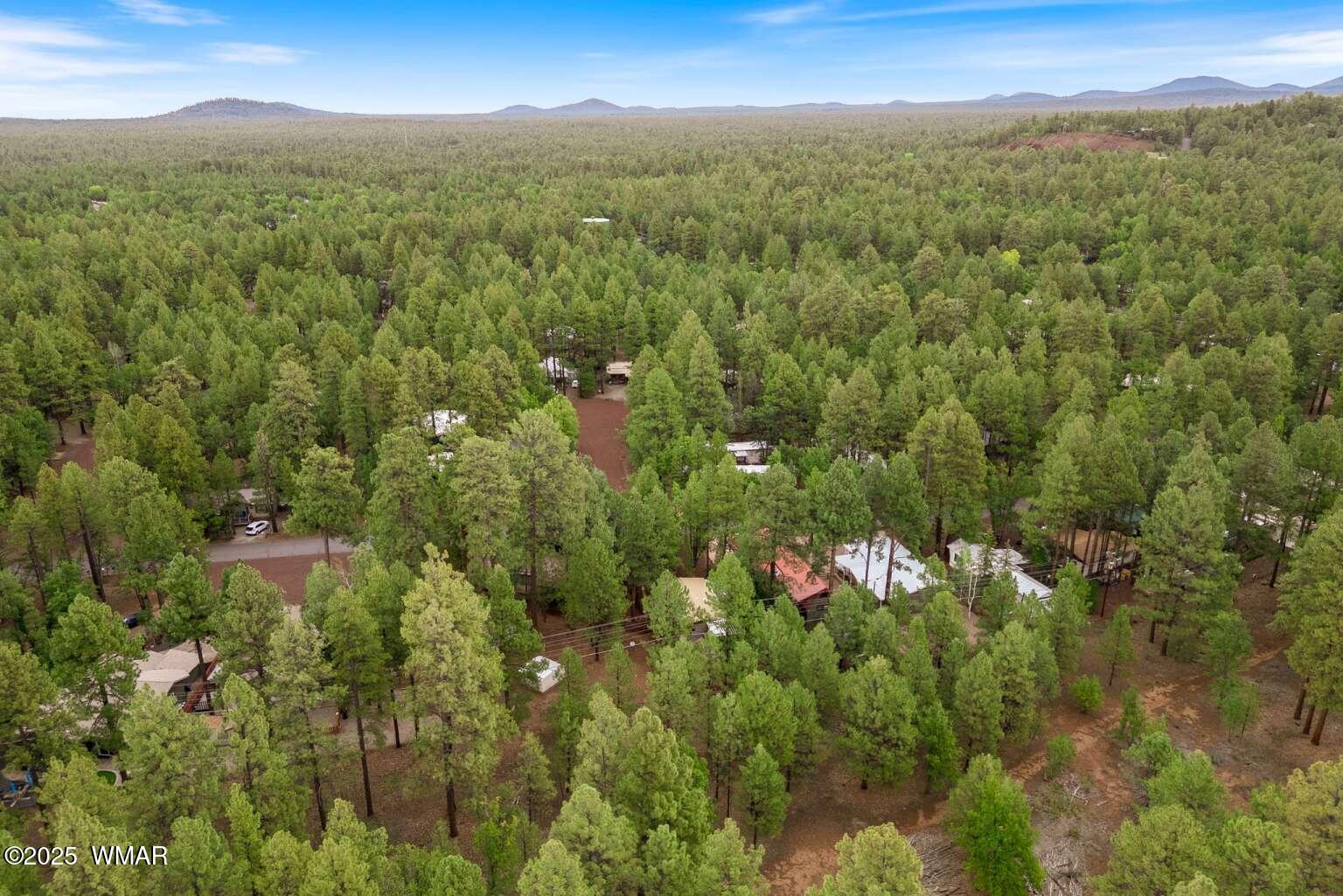 5369 North Blue Ridge Loop Pinetop, AZ 85935 - Photo 32 of 33 Dimov.32