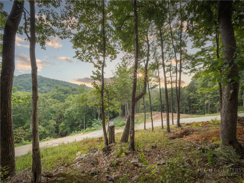 C120 Springwater Lane Banner Elk, NC 28604 - Photo 6 of 13