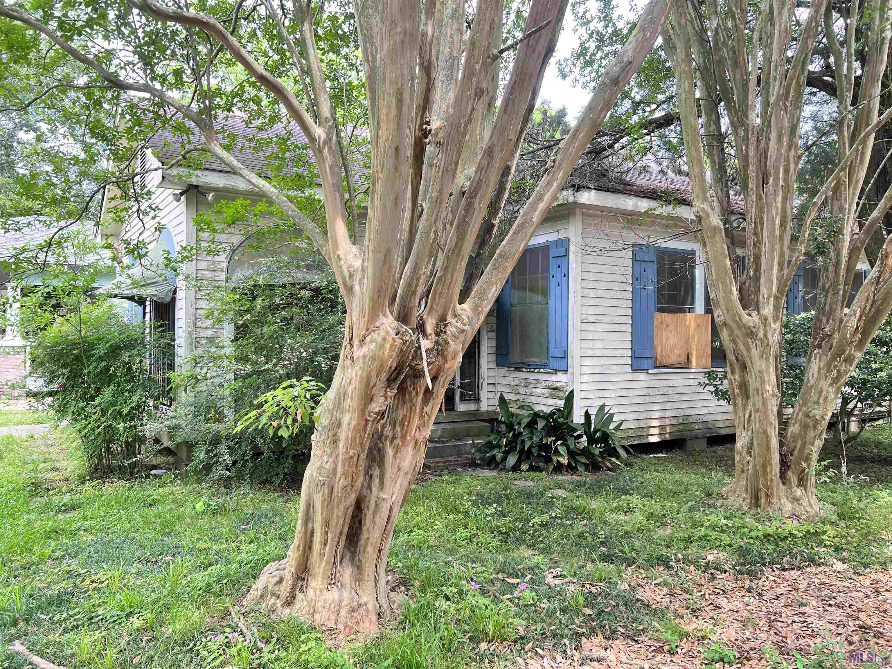 2900 Main Street Baton Rouge, LA 70802 - Photo 8 of 22 Gallery Image 8