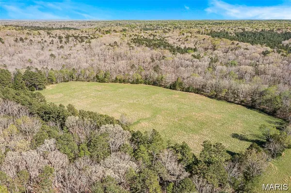 $594,405 | 1 Off Highway, Silva, MO 63964