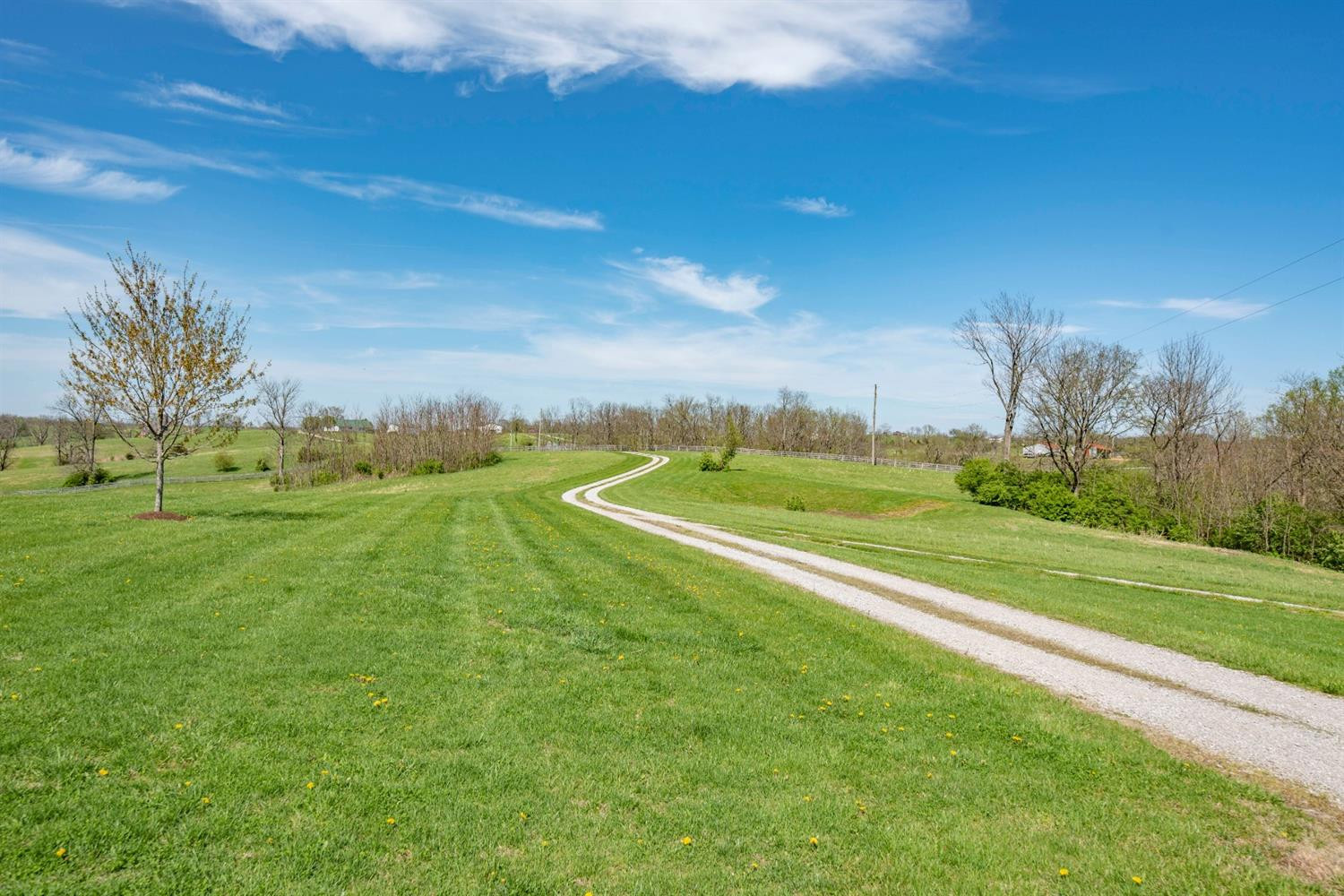 1833 Pleasant Spgs Road Carlisle, KY 40311 - Photo 46 of 54 Listing Photo
