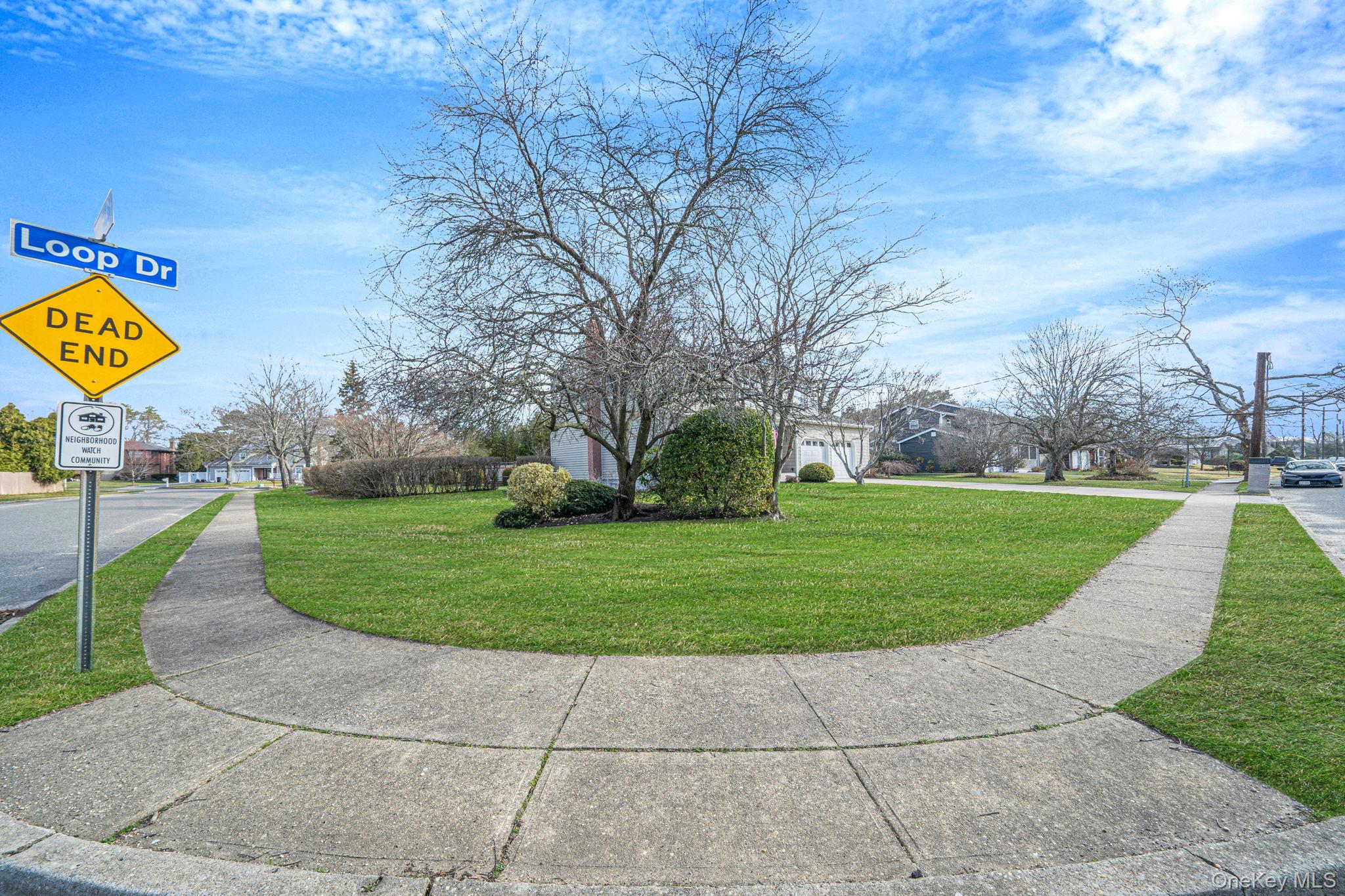 71 Loop Drive Sayville, NY 11782 - Photo 44 of 45 a view of a park with large trees