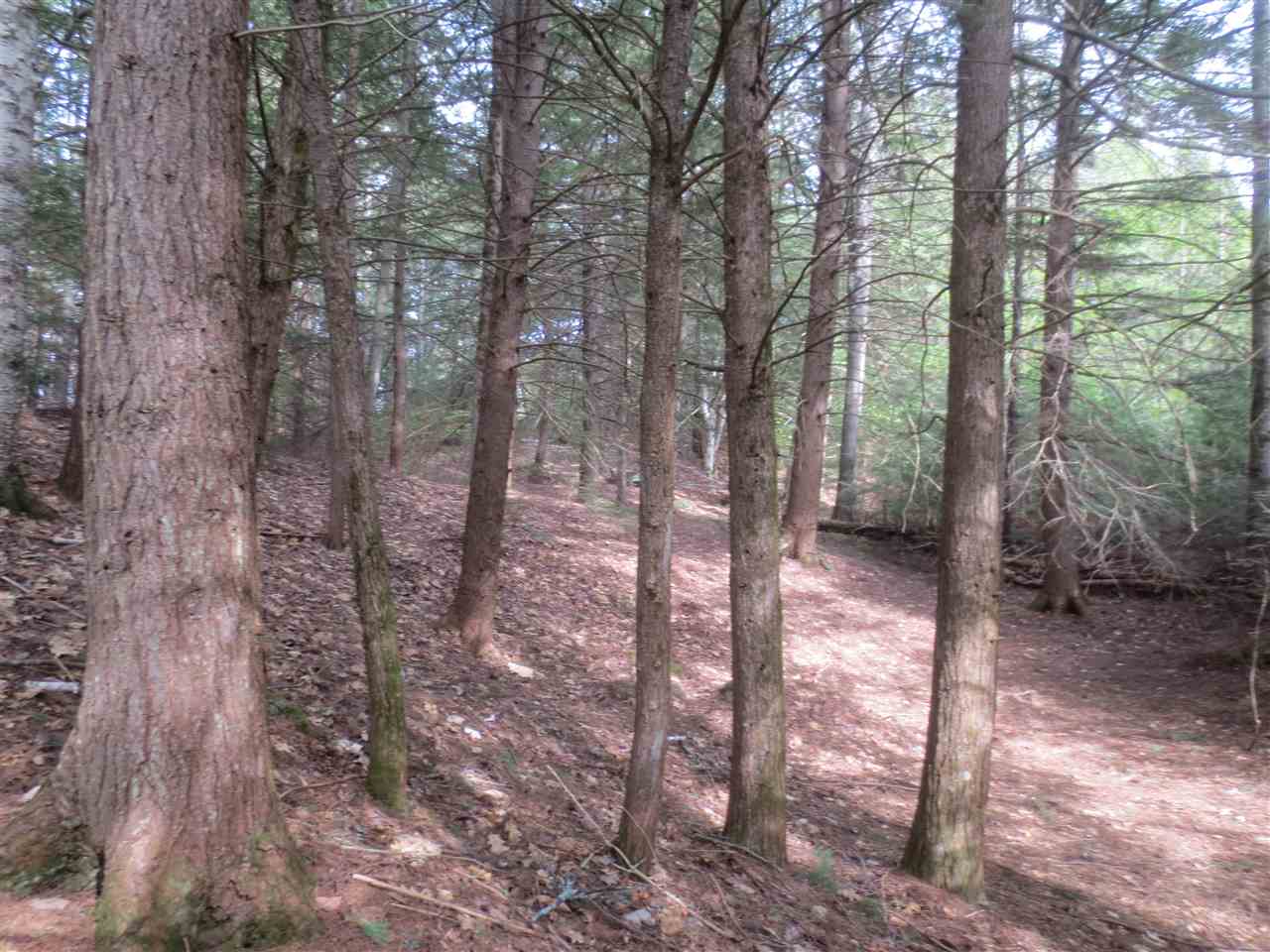 Lot 7 Borough Road, Unit LOT 7 Hill, NH 03243 - Photo 3 of 5