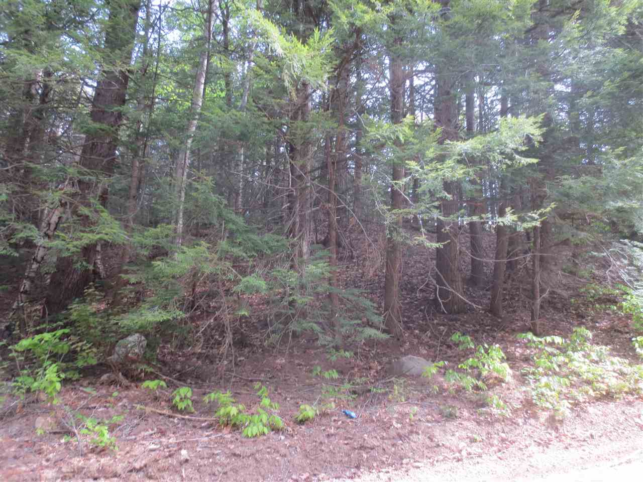 Lot 7 Borough Road, Unit LOT 7 Hill, NH 03243 - Photo 4 of 5
