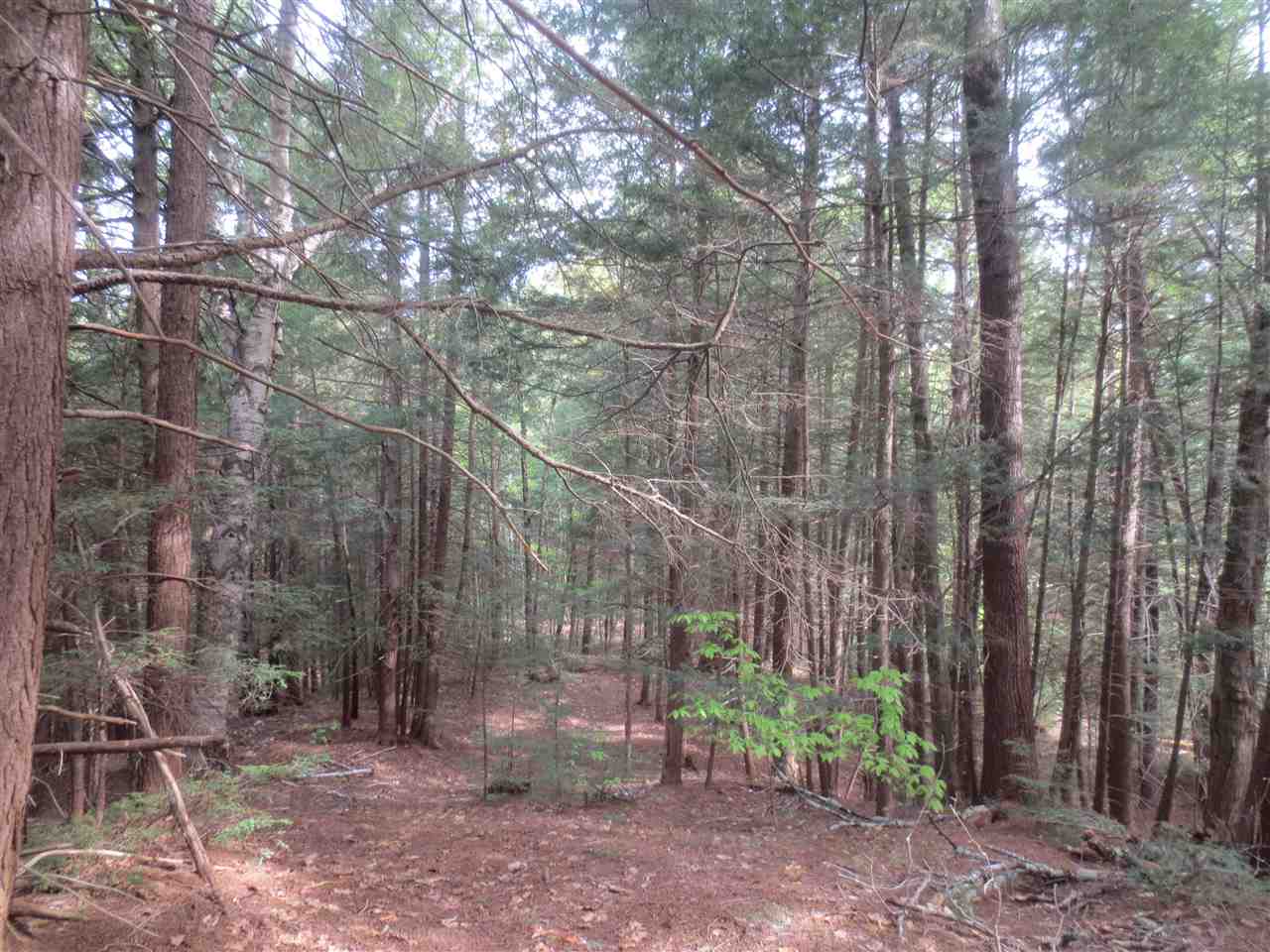 Lot 7 Borough Road, Unit LOT 7 Hill, NH 03243 - Photo 5 of 5