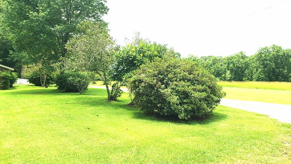 15780 Dogwood Road Bay Minette, AL 36507 - Photo 21 of 23