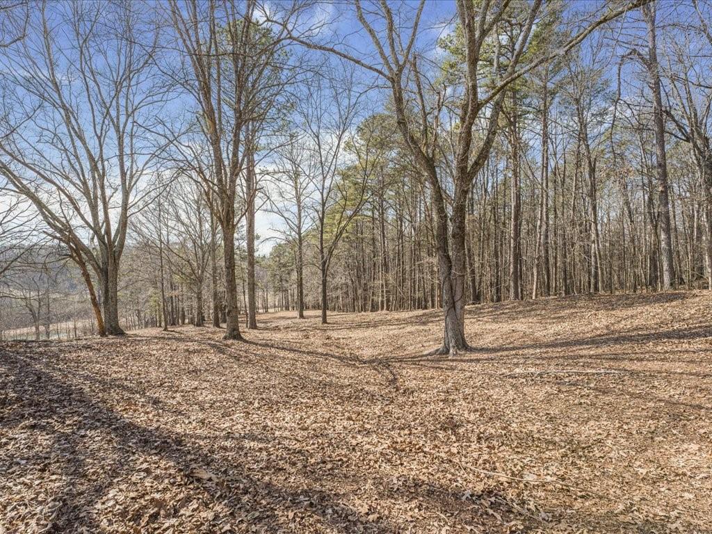 652 McCready Drive Dallas, GA 30157 - Photo 39 of 52