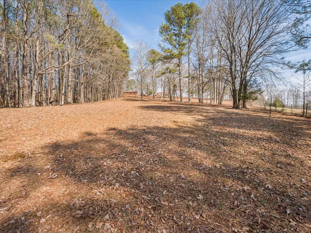 652 McCready Drive Dallas, GA 30157 - Photo 44 of 52