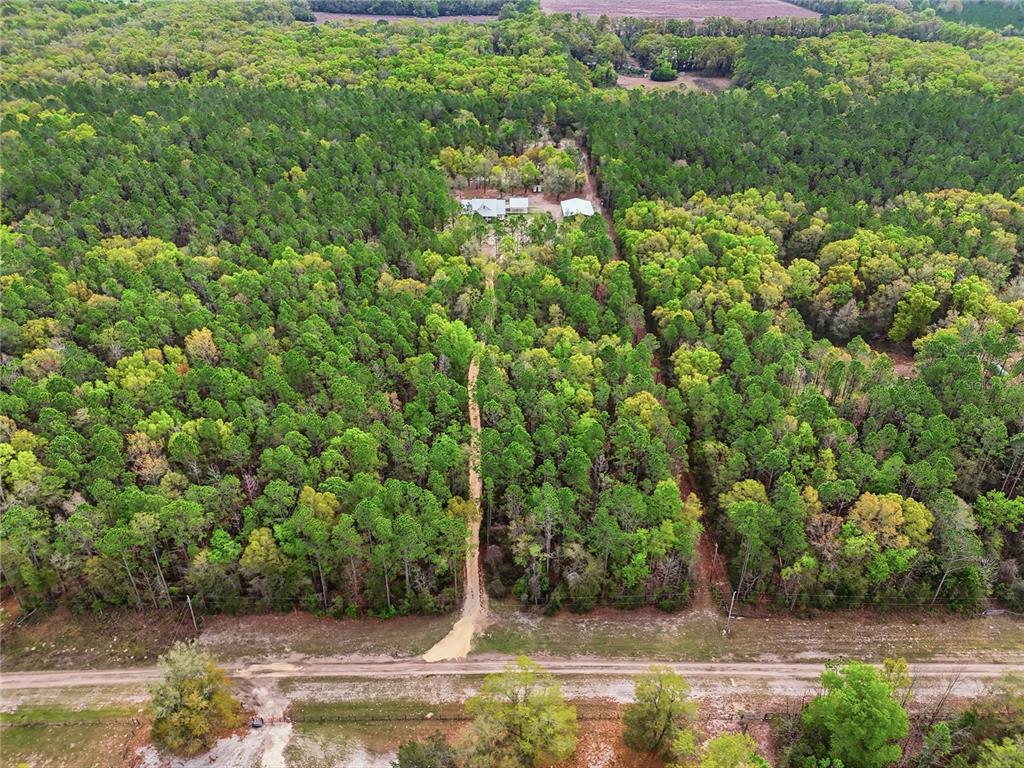 357 Southwest Conestoga Way Fort White, FL 32038 - Photo 34 of 44