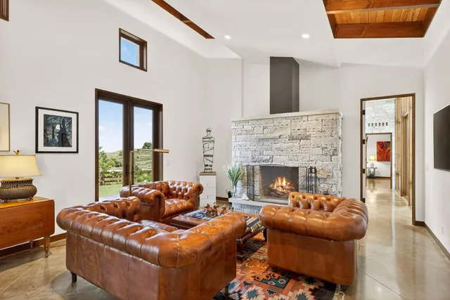 a living room with furniture window and a fireplace