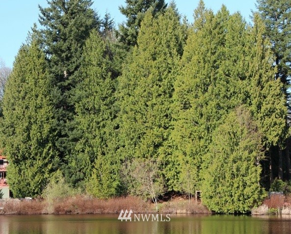 41 East Lost Lake Road Snohomish, WA 98296 - Photo 3 of 4 Gallery Image 3