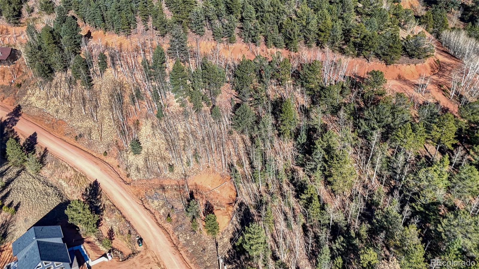 80 Beaver Pond Road Divide, CO 80814 - Photo 11 of 27 a backyard of a house with lots of green space