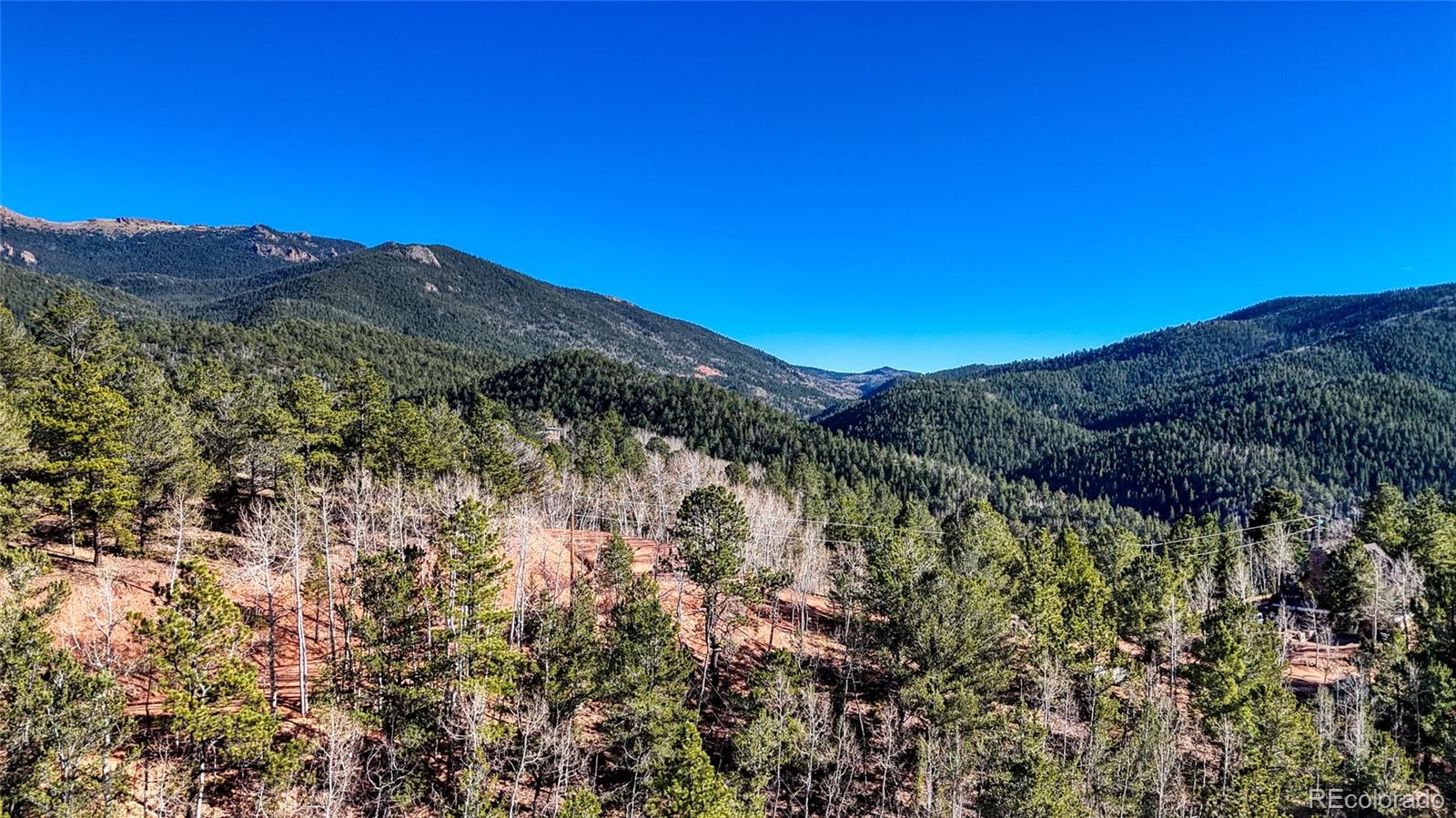 80 Beaver Pond Road Divide, CO 80814 - Photo 14 of 27 a view of a forest with mountains in the background