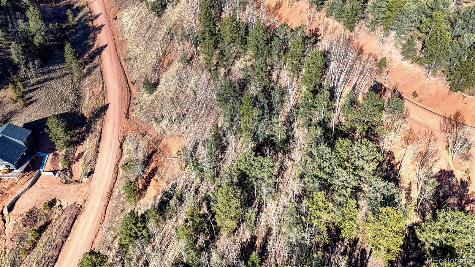 80 Beaver Pond Road Divide, CO 80814 - Photo 15 of 27 a view of a yard with plants and trees