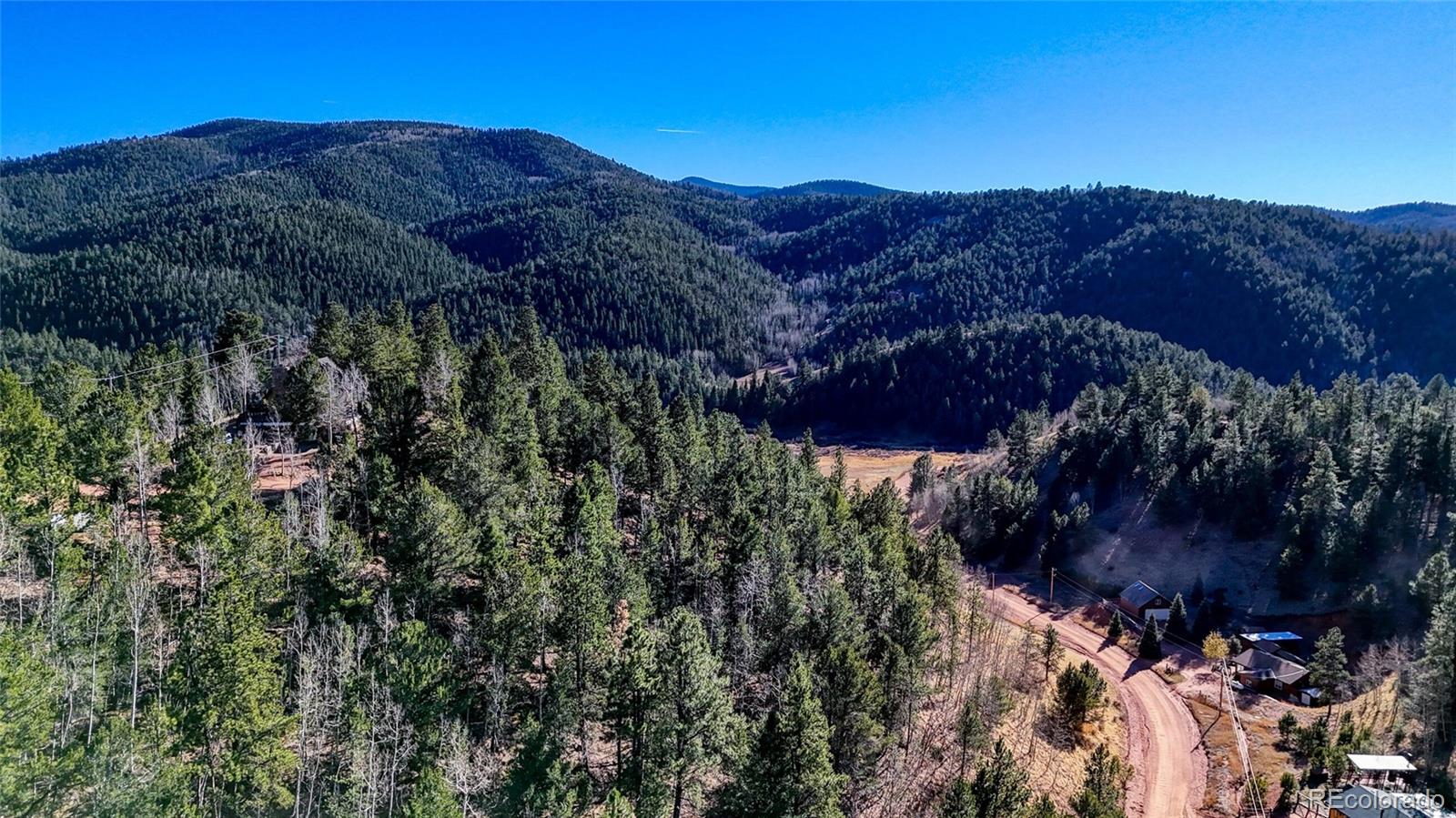 80 Beaver Pond Road Divide, CO 80814 - Photo 16 of 27 a view of a house in a yard