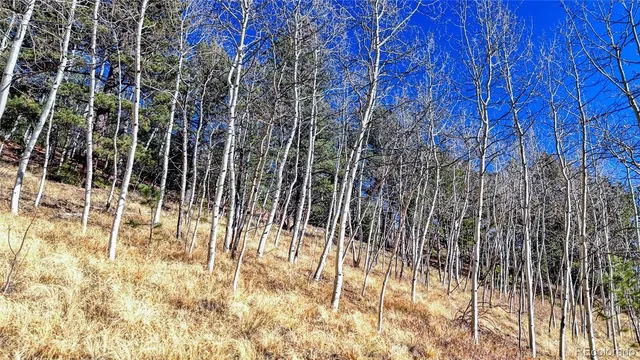 a view of outdoor space with a garden