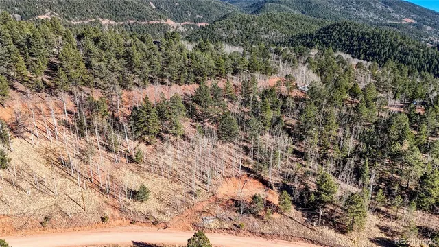 a view of a dry yard