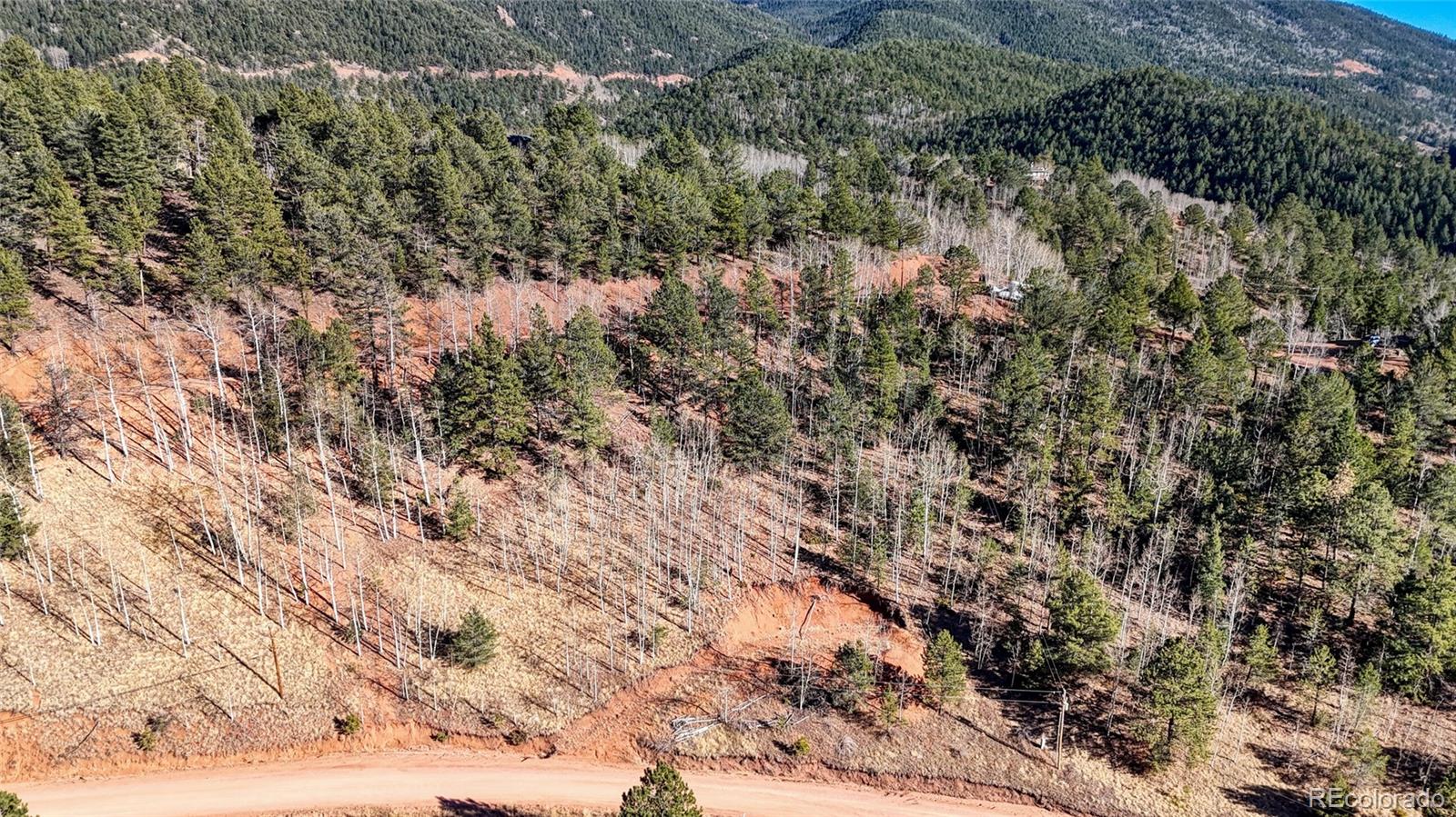 80 Beaver Pond Road Divide, CO 80814 - Photo 22 of 27 a view of a dry yard