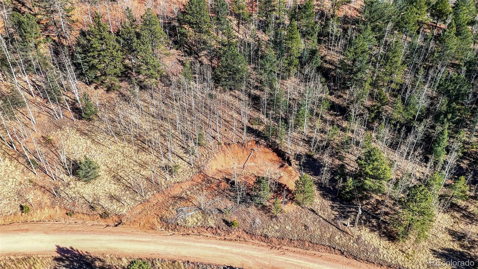 80 Beaver Pond Road Divide, CO 80814 - Photo 25 of 27 a view of a yard with a tree