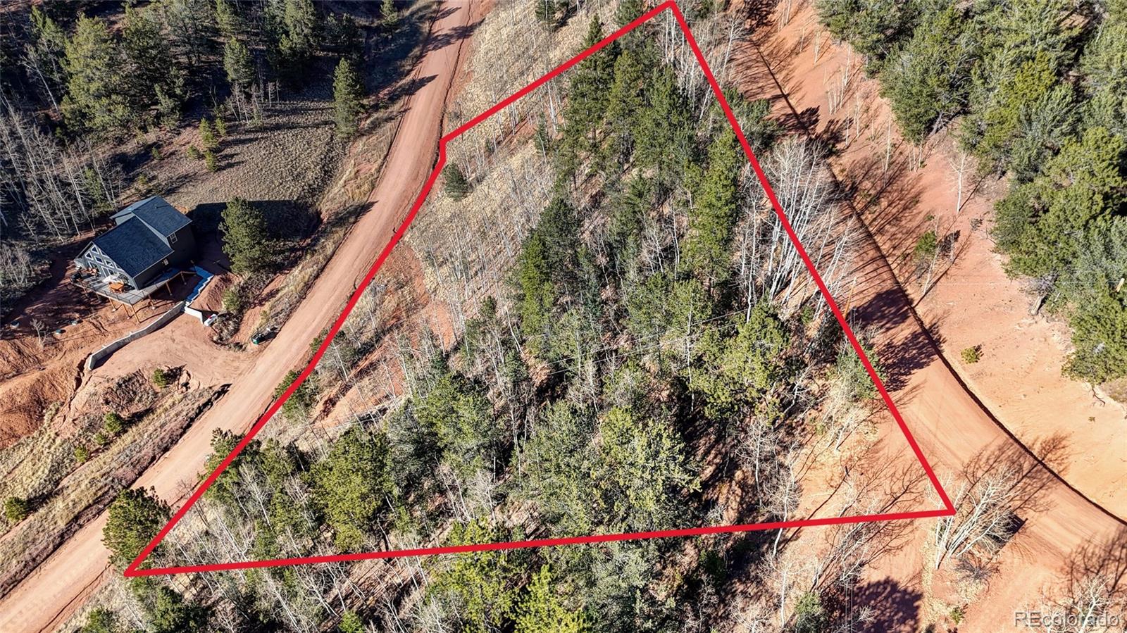 80 Beaver Pond Road Divide, CO 80814 - Photo 3 of 27 a bird view of a yard