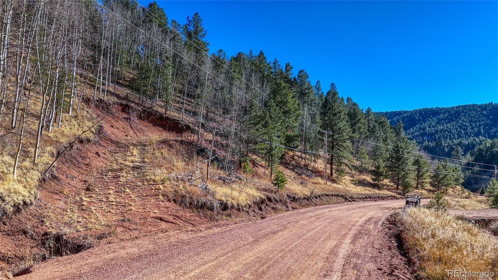 80 Beaver Pond Road Divide, CO 80814 - Photo 6 of 27 a view of a forest with trees in the background