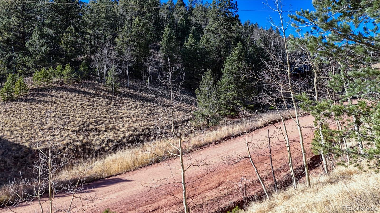 80 Beaver Pond Road Divide, CO 80814 - Photo 8 of 27 a view of a yard with plants and wooden fence