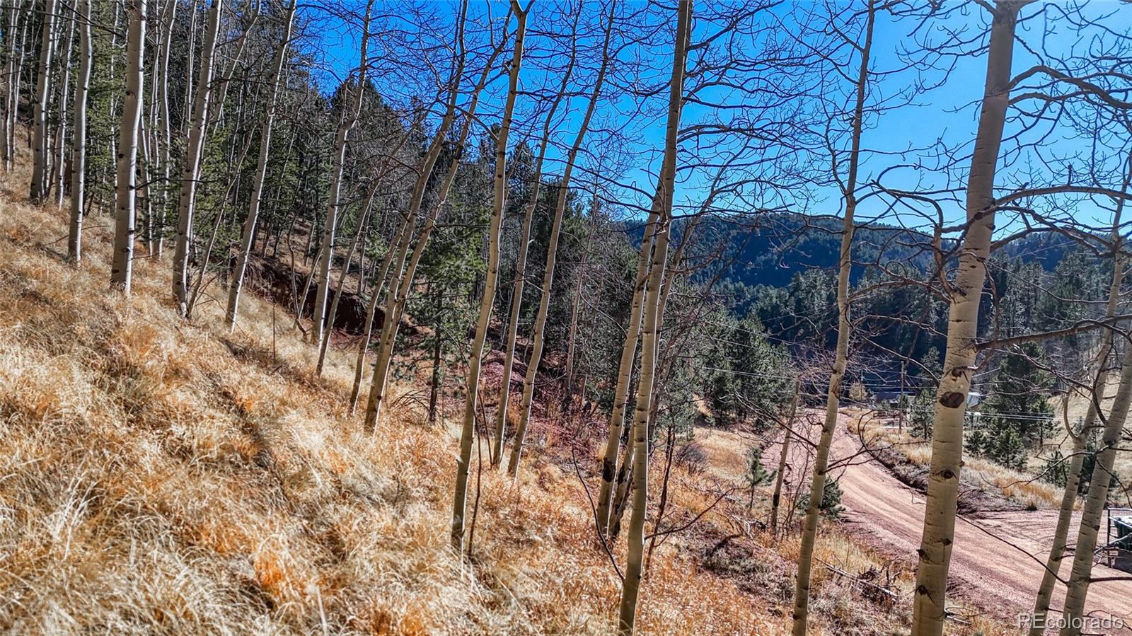 80 Beaver Pond Road Divide, CO 80814 - Photo 10 of 27 a view of a wooden building