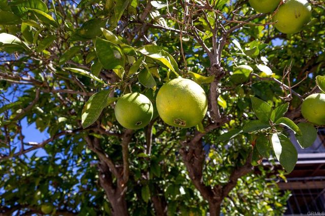 $1,450,000 | 2335 Mirador, Vista, CA 92084