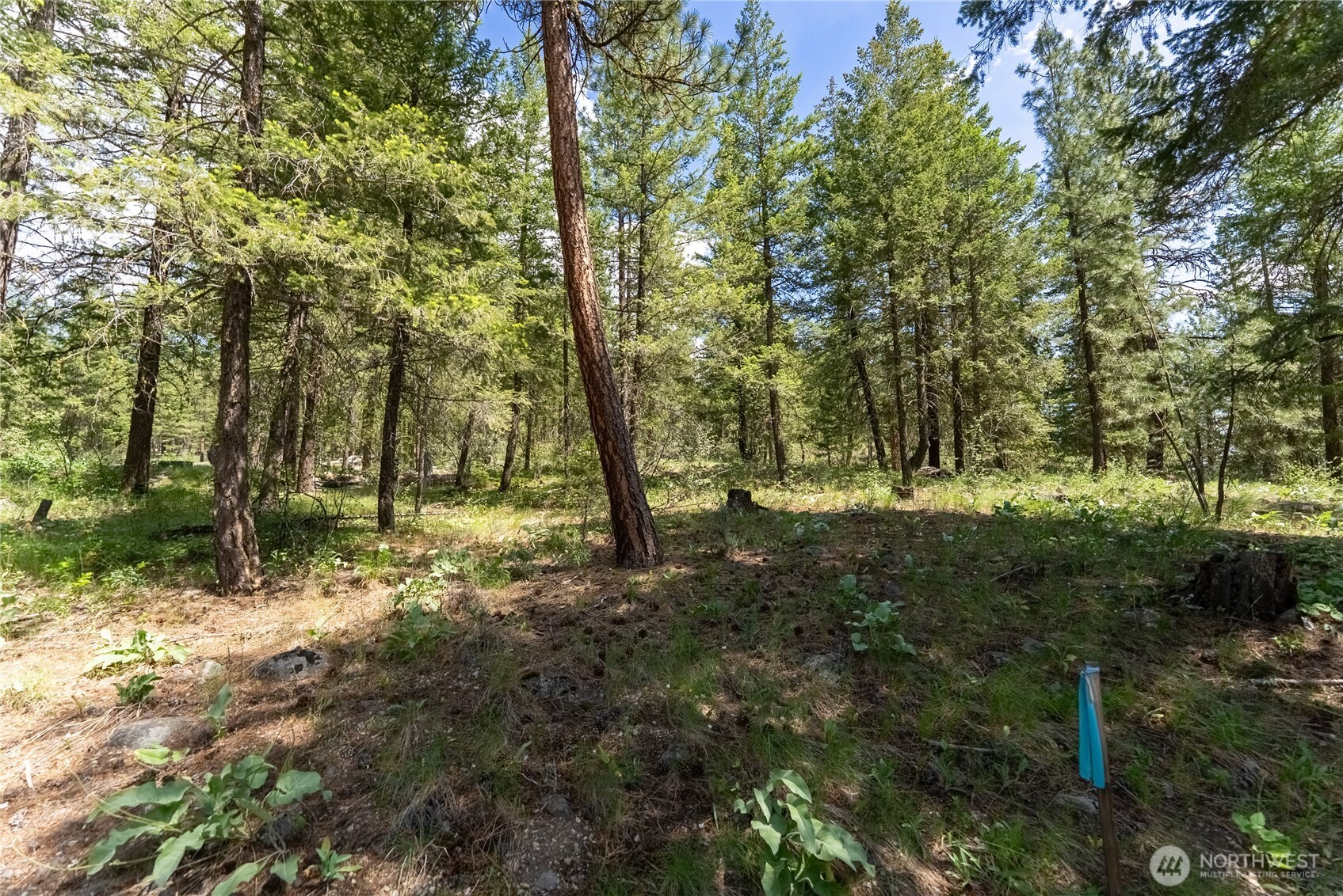 6 Homestead Road Winthrop, WA 98862 - Photo 21 of 40 a view of outdoor space and trees