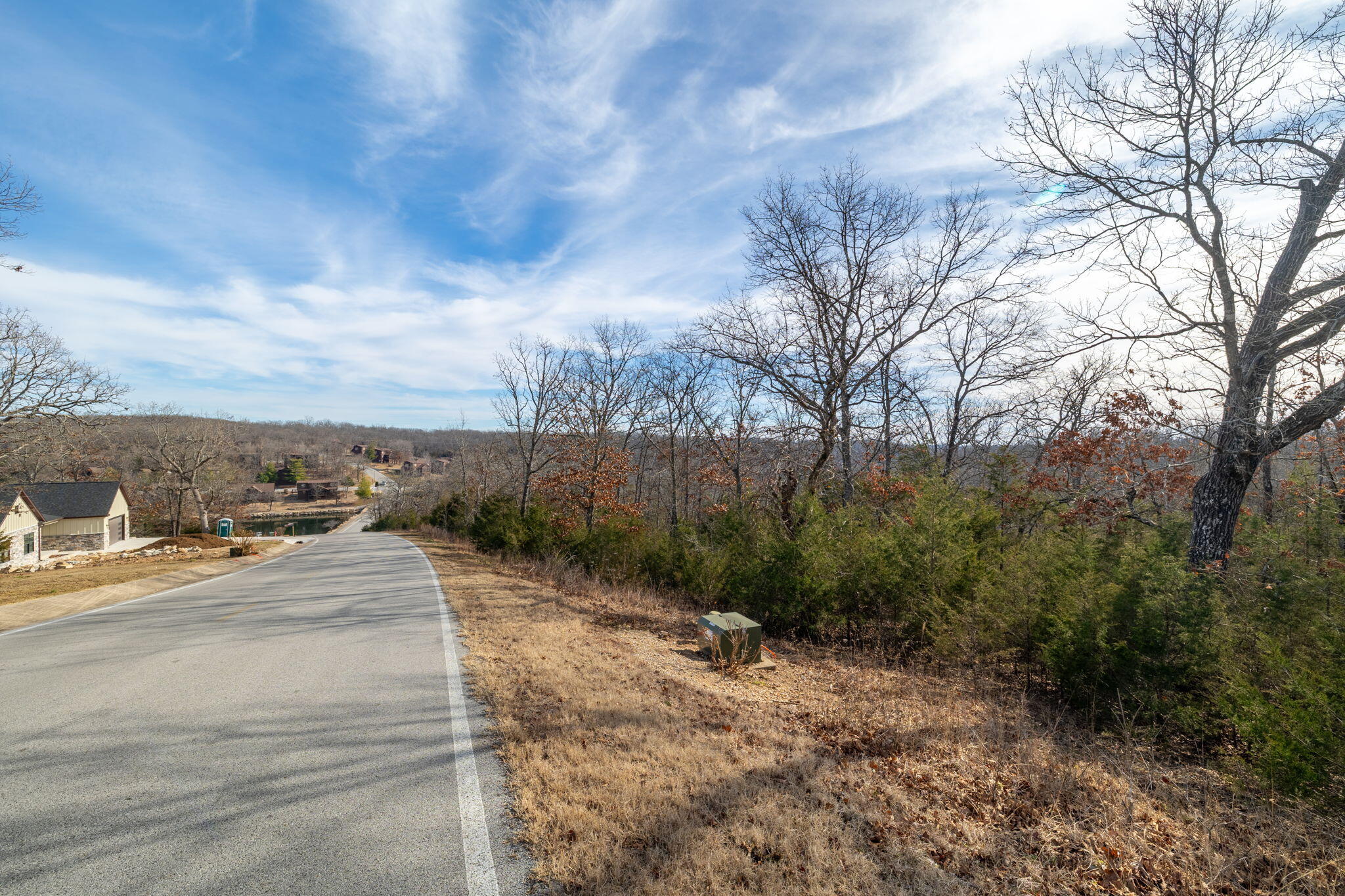 4 Fox Hollow Road Reeds Spring, MO 65737 - Photo 6 of 26 2-web-or-mls-A-2