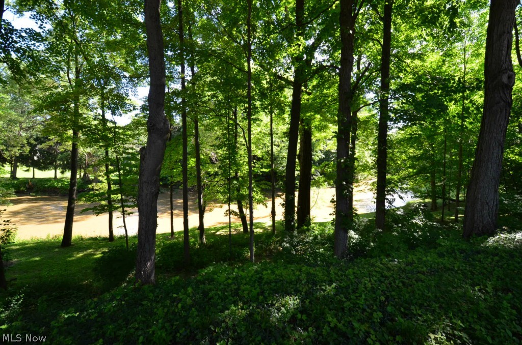 12008 Robson Road Grafton, OH 44044 - Photo 23 of 23 Gallery Image 23